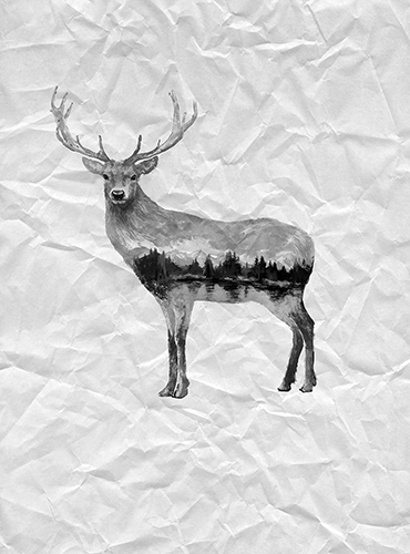 Фотообои Grayscale 12, GRAYSCALE, Wall street Фотообои Grayscale 12, GRAYSCALE, Wall street