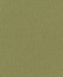 Rasch Florentine III 484755